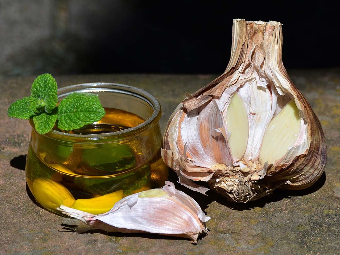 Sars cov 2 corona heilkunde traditional healing knowledge garlic oil