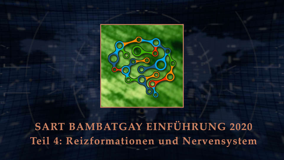 Sart bambatgay einfuehrung 2020 teil 04 reizformationen und nervensystem FEATURED