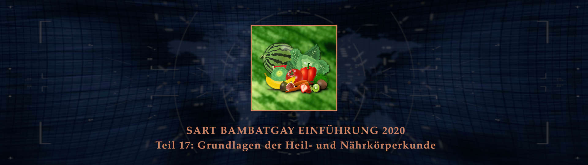 Sart bambatgay einfuehrung 2020 teil 17 grundlagen der heil und naehrkoerperkunde BANNER