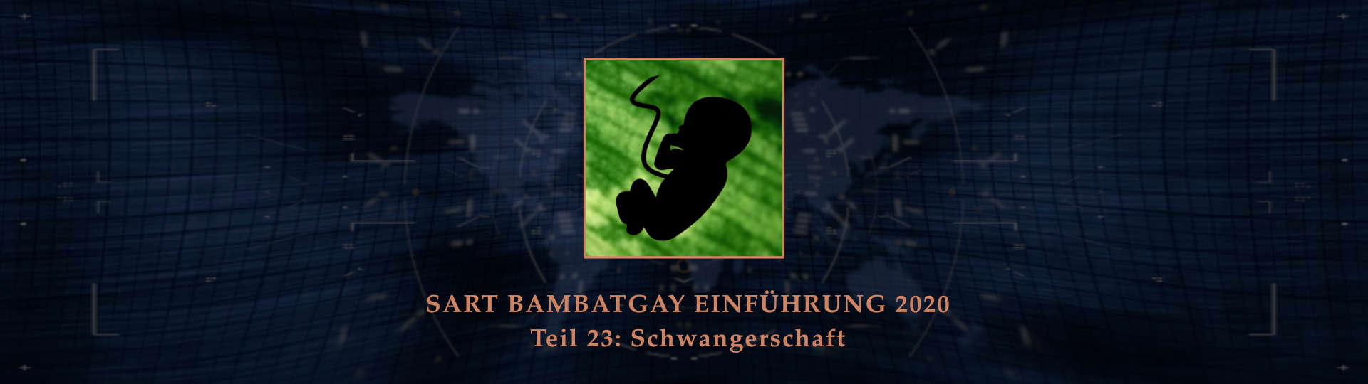 Sart bambatgay einfuehrung 2020 teil 23 schwangerschaft BANNER