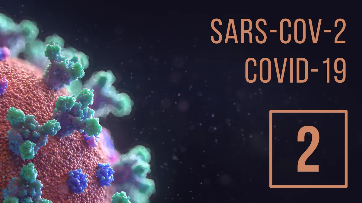 Sars cov 2 corona virus alternative heilkunde naturheilkunde heiler Teil 2 featured